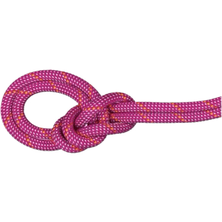 9.5 crag dry rope